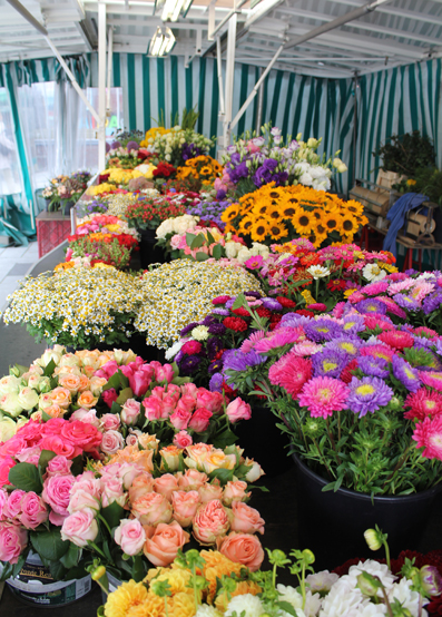 Von Lilien und Schäferhunden